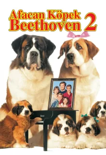 Afacan Köpek Beethoven 2