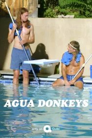 Agua Donkeys